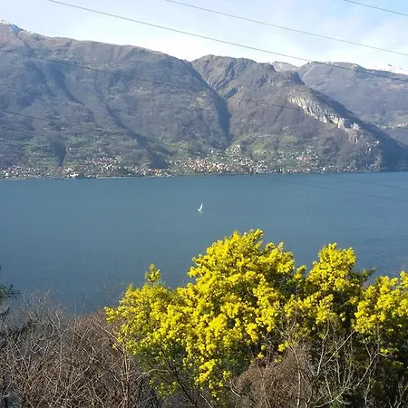 Al Castello Lejlighed Dervio